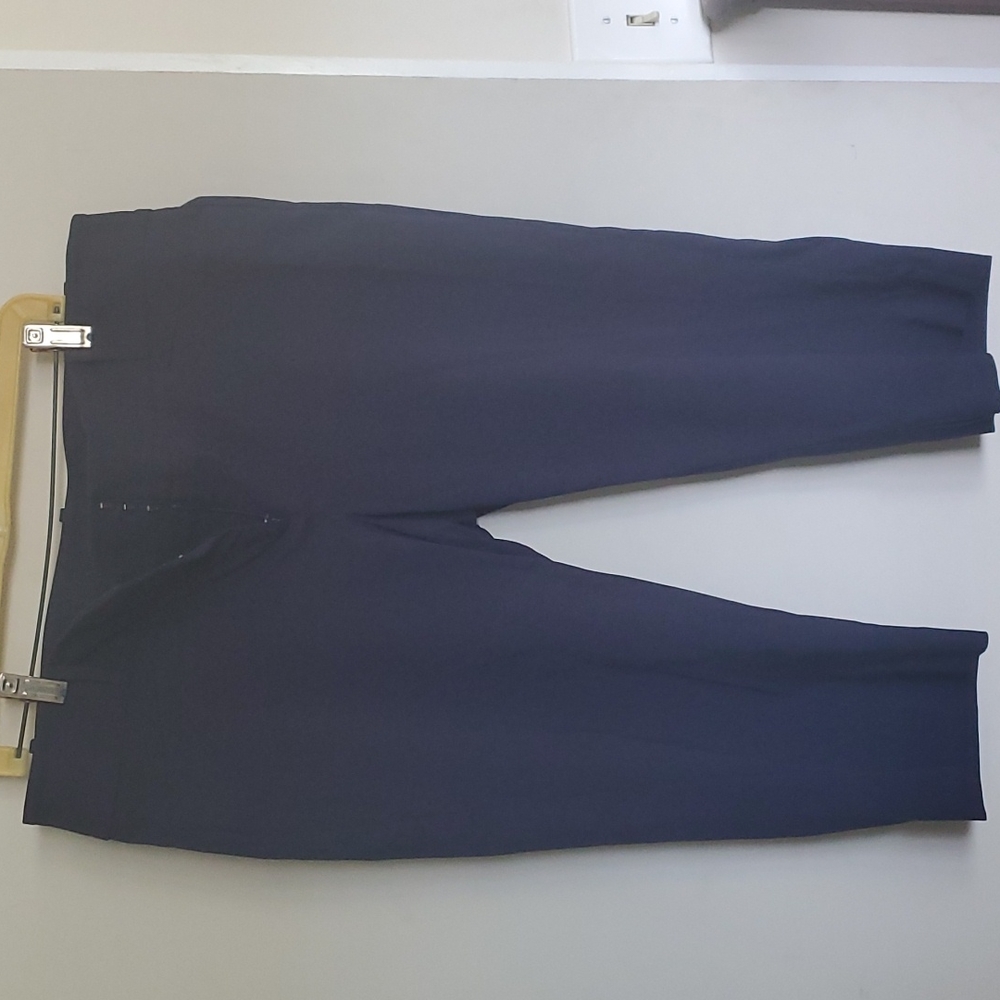 The Limited Navy Blue Capris